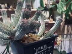 -Rabbit Cafe私房西餐甜点咖啡(栖霞路店)