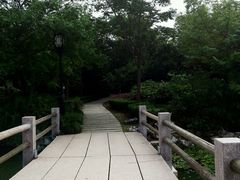 android_upload_pic-蠡湖大桥公园