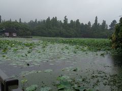 -西湖游船