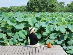 -梁鸿国家湿地公园