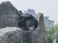 -南昌动物园