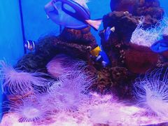 -多彩贵州城极地海洋世界