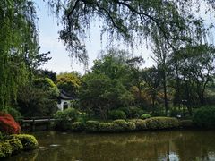 -秋霞圃