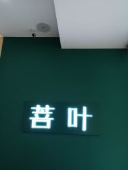 -菩叶脱发白发中心