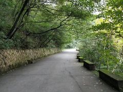 -莫干山风景区