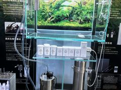-ADA自然水景世界