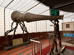 -中央广播电视塔