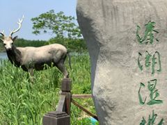 -溱湖国家湿地公园