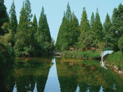 -东平国家森林公园