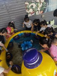 -小蜜蜂农场(凯德七宝购物广场店)