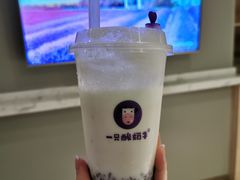 -一只酸奶牛(八一路店)