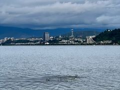 -洱海月湿地公园