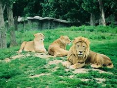 -北京野生动物园