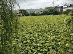 -安龙招堤