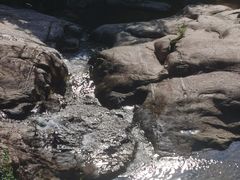 -广州白江湖森林公园