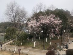 -相门城墙文化休闲景区