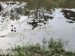 -聚龙山公园