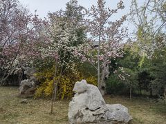 -青州市云门山风景区