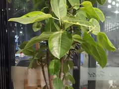 -铂尔登智慧酒店(南山西丽地铁站店)