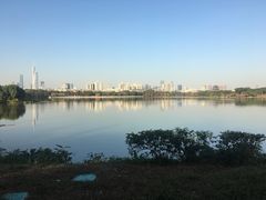 -海珠湖公园