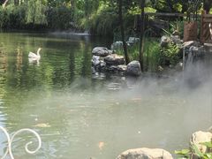 -天毓山庄·餐厅