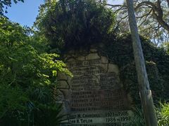 -墨尔本皇家植物园