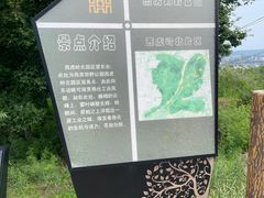 -白水寺森林公园