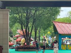 -苏州乐园森林水世界