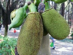 android_upload_pic-大沙河公园