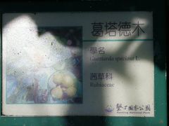 -鹅銮鼻公园