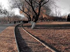 -永定河休闲森林公园