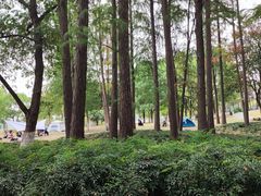 -月湖风景区