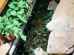 -清真京华源·涮肉烧烤(丰庆店)