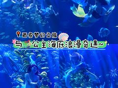 -华夏文旅海洋公园