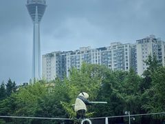 -成都市活水公园