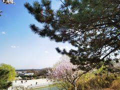 -北京西山国家森林公园