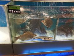 -中百仓储超市(漫时区店)