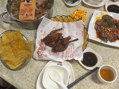 -百利鸽王(紫薇路店)