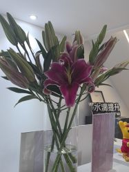 -春田皮肤管理中心品牌旗舰店
