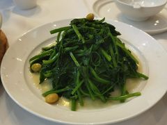 -眉州东坡(亚运村店)