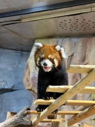 -Zoolung Zoolung动物主题公园(海信广场店)