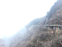 -少华山国家森林公园