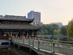 -孺子亭公园