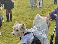 -上海神旺大酒店