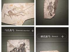 -遇见博物馆(遇见海洋沉浸式奇幻光影展)