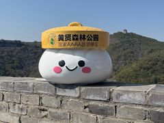 -黄贤森林公园