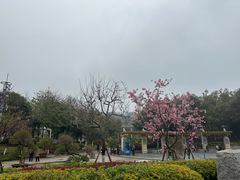 -狐尾山公园