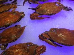 -甄品麦哲伦海鲜和牛自助(万达广场店)