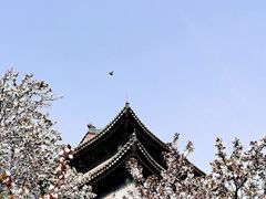 -北京明城墙遗址公园