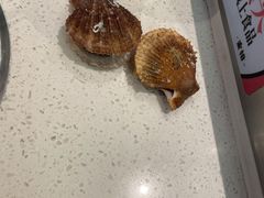-龍歌自助小火锅(市南金茂湾店)